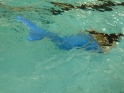 Meerjungfrauenschwimmen-178.jpg
